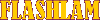 Flashlam